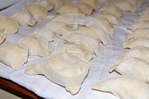 Raw dumplings lying on a white fabric background