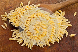 Raw durum wheat on spoon