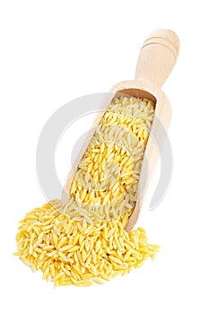 Raw durum wheat on wooden scoop