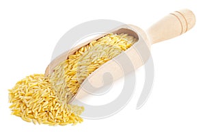 Raw durum wheat on wooden scoop