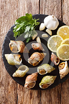raw edible sea snails, whelks close-up and lemon, parsley, garlic on a slate board.Vertical top view from above
