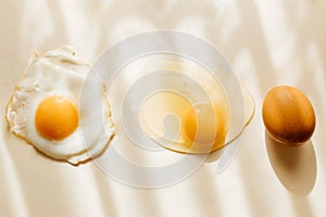 Raw egg, fried egg and cracked eggshell