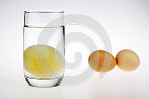 A raw egg without shell photo