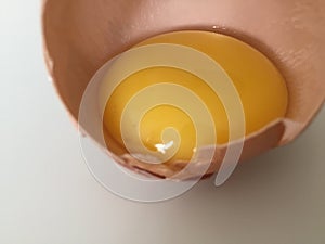 Raw Egg Yoke