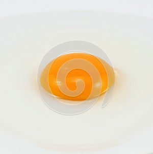 Raw egg yolk.