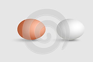 Raw eggs in white background illustration design