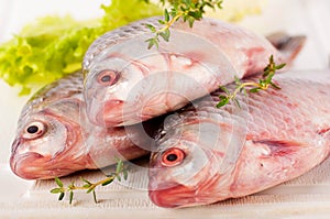 Raw European carp
