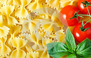 Raw farfalle