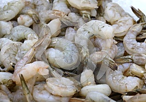 Raw farmed shrimp on ice at fish market