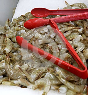 Raw farmed shrimp on ice at fish market