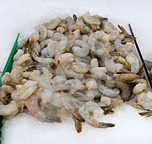 Raw farmed shrimp on ice at fish market