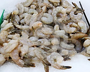 Raw farmed shrimp on ice at fish market