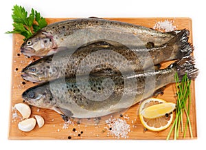 Raw fish (brown trout)