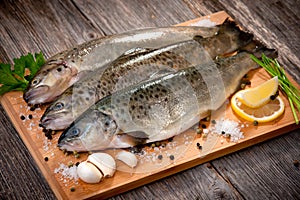 Raw fish (brown trout)