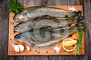 Raw fish (brown trout)