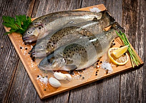Raw fish (brown trout)