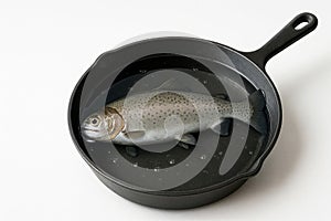 Raw fish in a cast-iron pan with water.