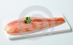 Raw fish fillet