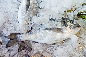 Raw fish on fish market near restaurant