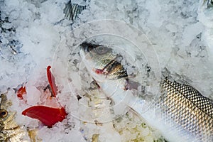 Raw fish on fish market near restaurant