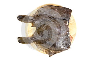 Raw fish flounder