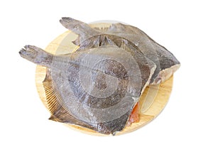 Raw fish flounder