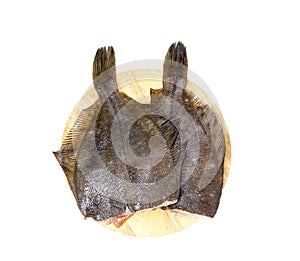 Raw fish flounder