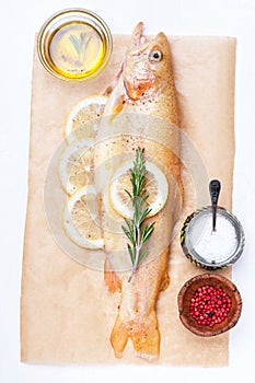 Raw fish golden trout with herbs and spices