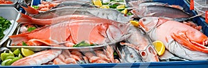 Raw fish market, wet market or fresh seafood market Generative AI