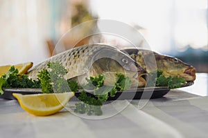 Raw fish on metallic dish with greens and lemon on white table. Indoors.