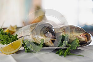 Raw fish on metallic dish with greens and lemon on white table. Indoors.