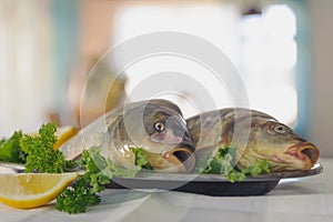 Raw fish on metallic dish with greens and lemon on white table. Indoors.