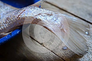 Raw fish ready for cooking