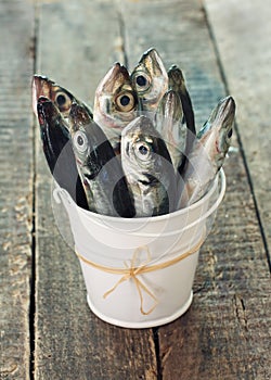 Raw fish (scad) in bucket