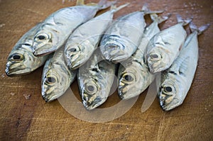 Raw fish (scad) over natural wood background