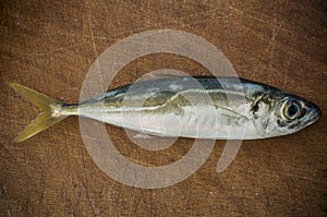 Raw fish (scad) over natural wood background