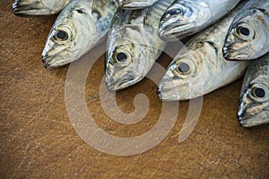 Raw fish (scad) over natural wood background