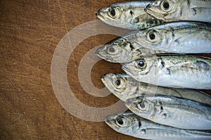 Raw fish (scad) over natural wood background