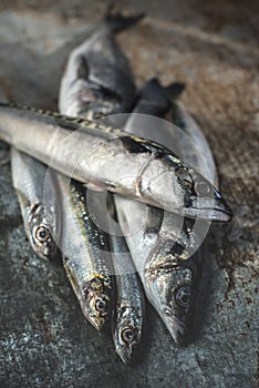 Raw fish. Sea bream, sea bass, mackerel and sardines on dark background. Lemon and herbs near the fishes