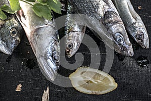 Raw fish. Sea bream, sea bass, mackerel and sardines on dark background. Lemon and herbs near the fishes