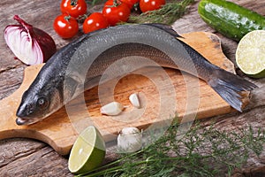 Raw fish seabass on chopping board with vegetables