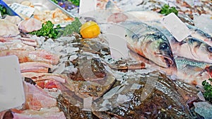 Raw fish on a stall