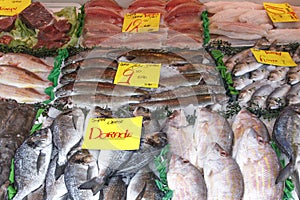 Raw Fish stall