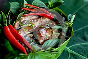 Raw fish wrapped in banana leaves