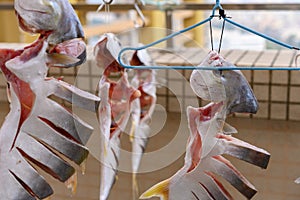 raw fishes being air dried on balcony horizontal compositon