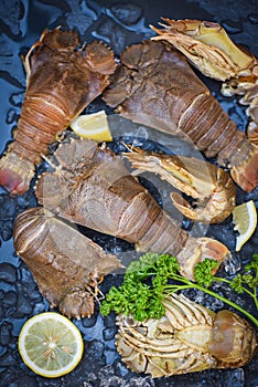 Raw flathead lobster shrimps on ice, fresh slipper lobster flathead for cooking with herbs and spices parsley lemon in the seafood