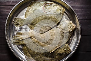 Raw flounder fish