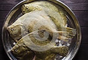 Raw flounder fish