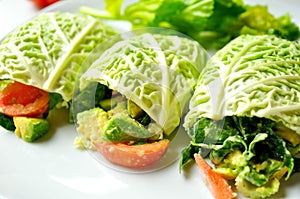 Raw food diet with fresh vegan rolls