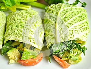 Raw food diet concept with fresh cabbage rolls